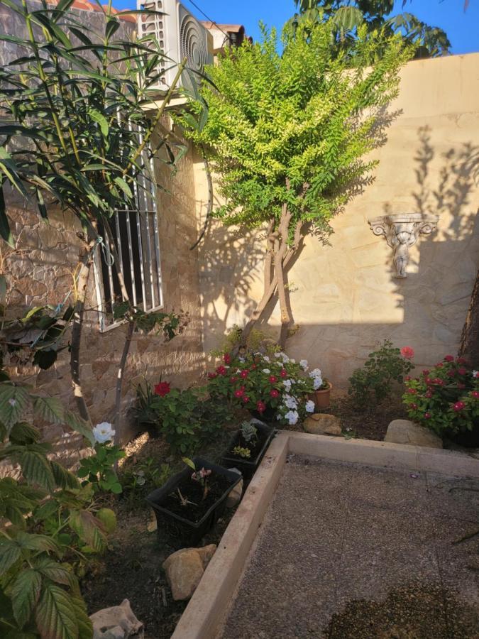 La Casa De Irina Ξενοδοχείο El Albir Εξωτερικό φωτογραφία